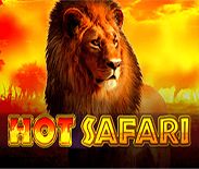 Hot Safari